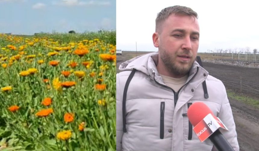 Geoerge Experiența noastră în cultivarea plantelor medicinale